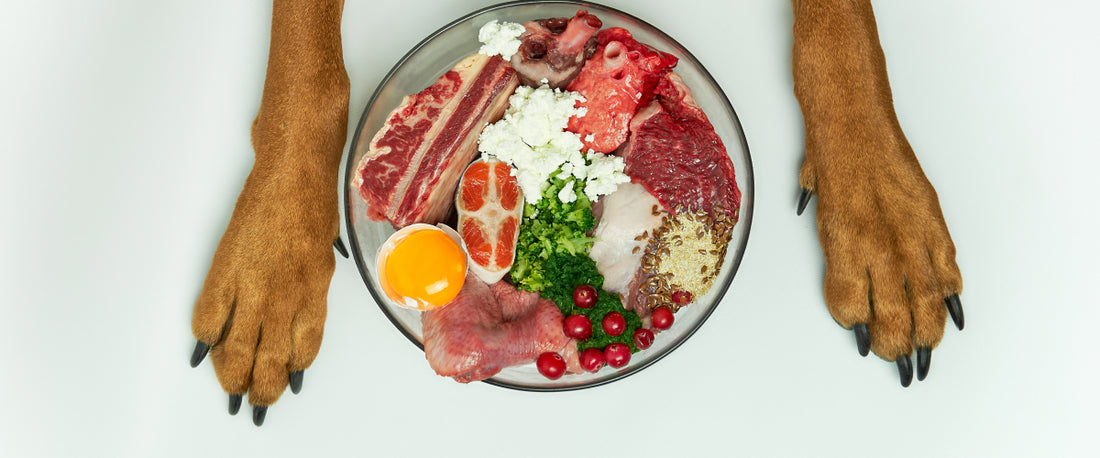 Raw Food Diet for Dogs: Unlock the Benefits & Get Started Today!