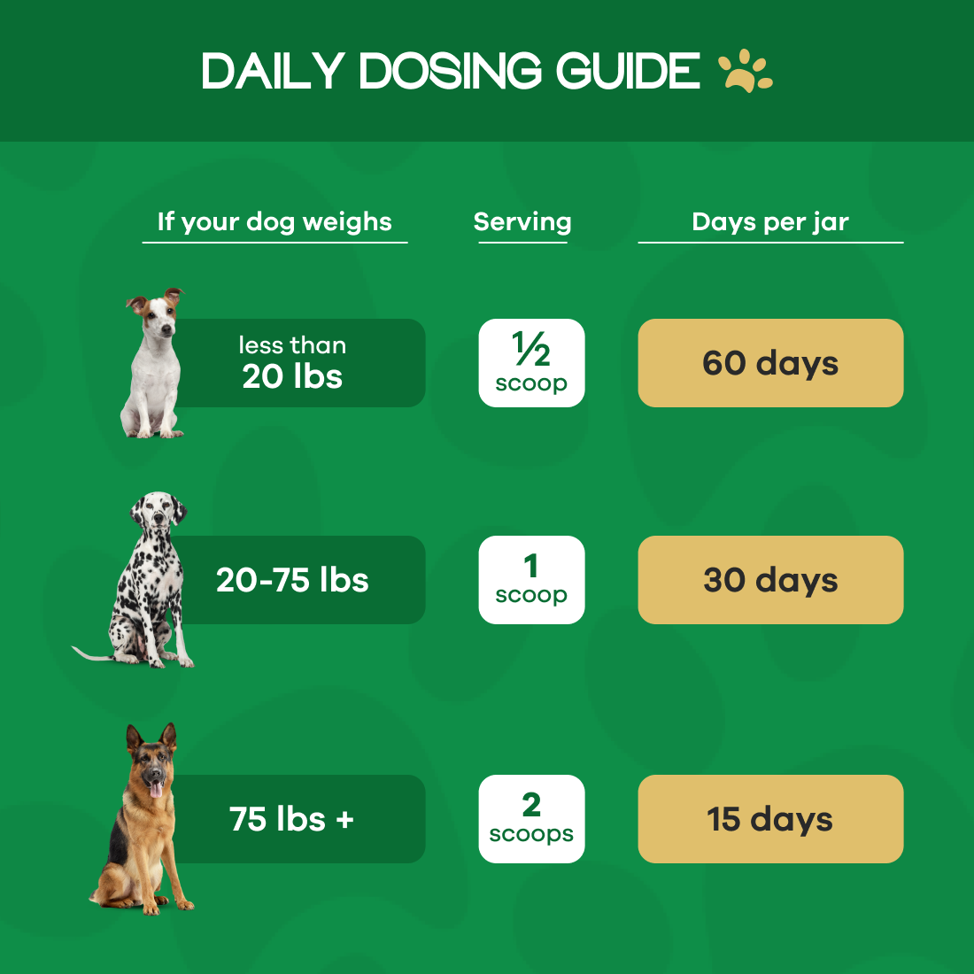 Wild Belly Probiotic / Longevity Support