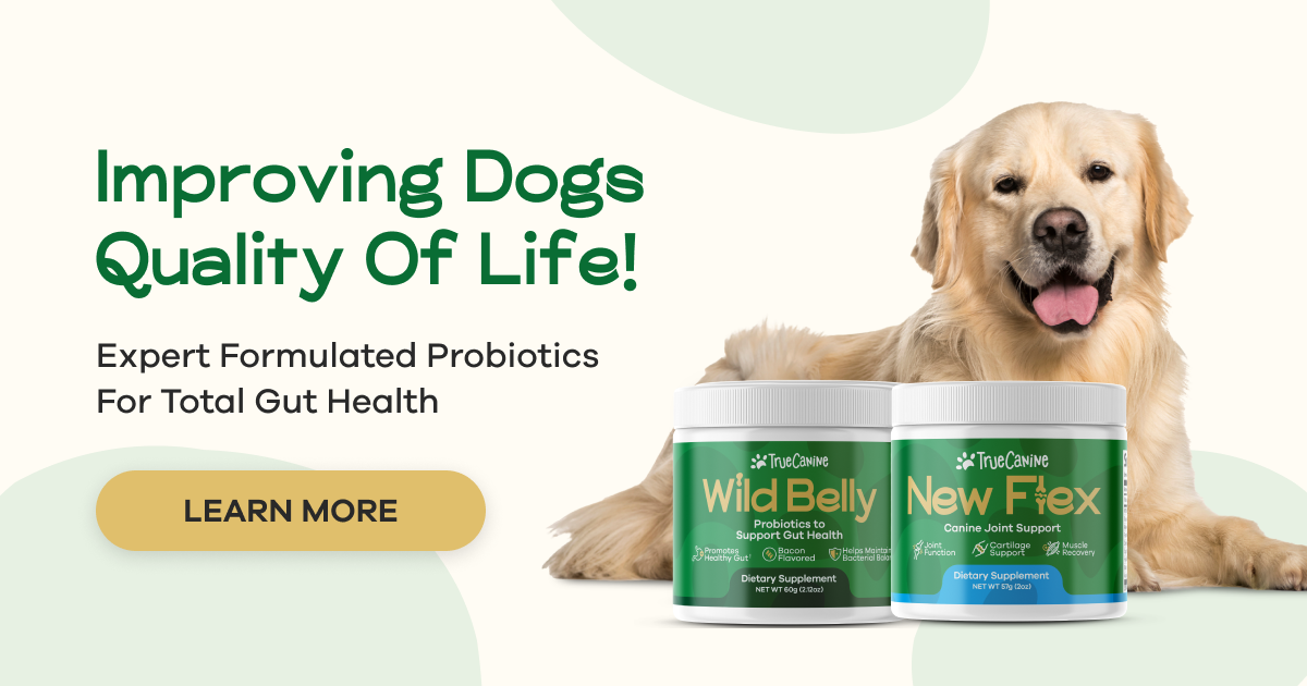 Veggie & Cheese Dog Treat Recipe – TrueCanine