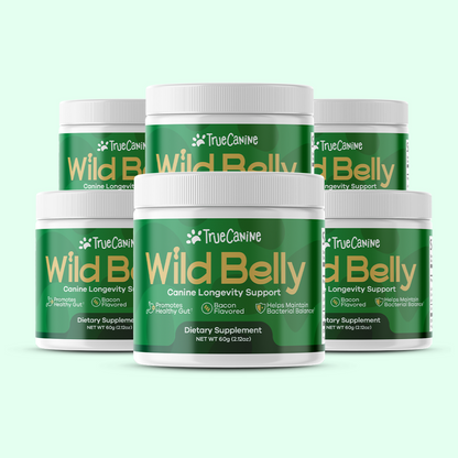 Wild Belly Canine Longevity Formula