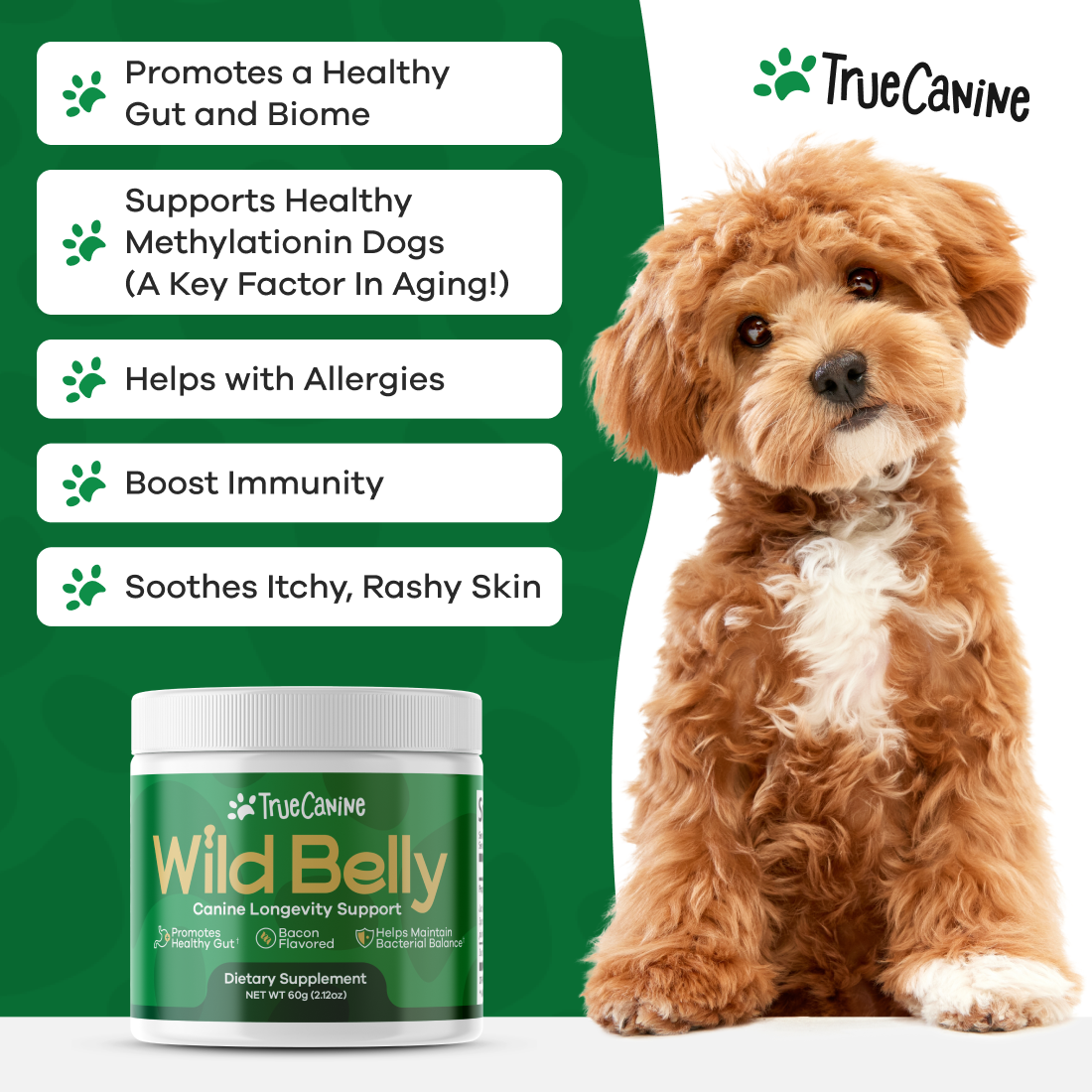 Wild Belly Canine Longevity Formula