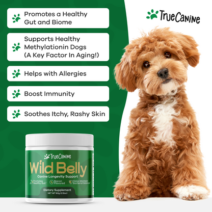 Wild Belly Canine Longevity Formula