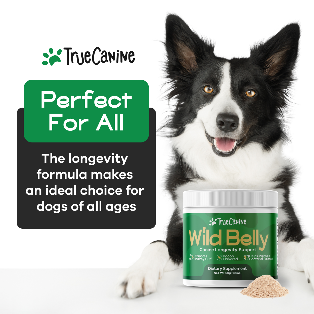 Best dog food for longevity clearance
