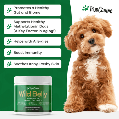 Wild Belly Probiotic