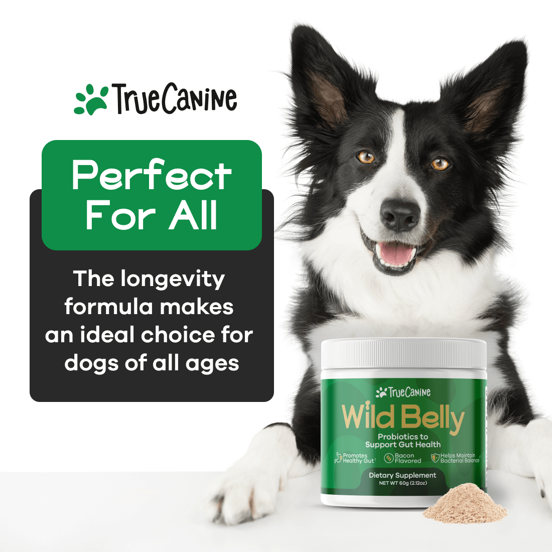 Wild Belly Probiotic