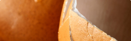 Eggshell membrane powder.