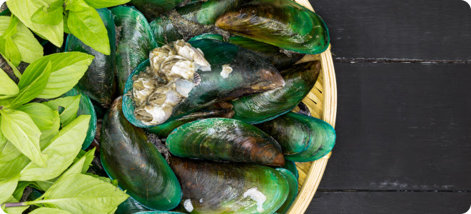 Green lipped mussel extract.