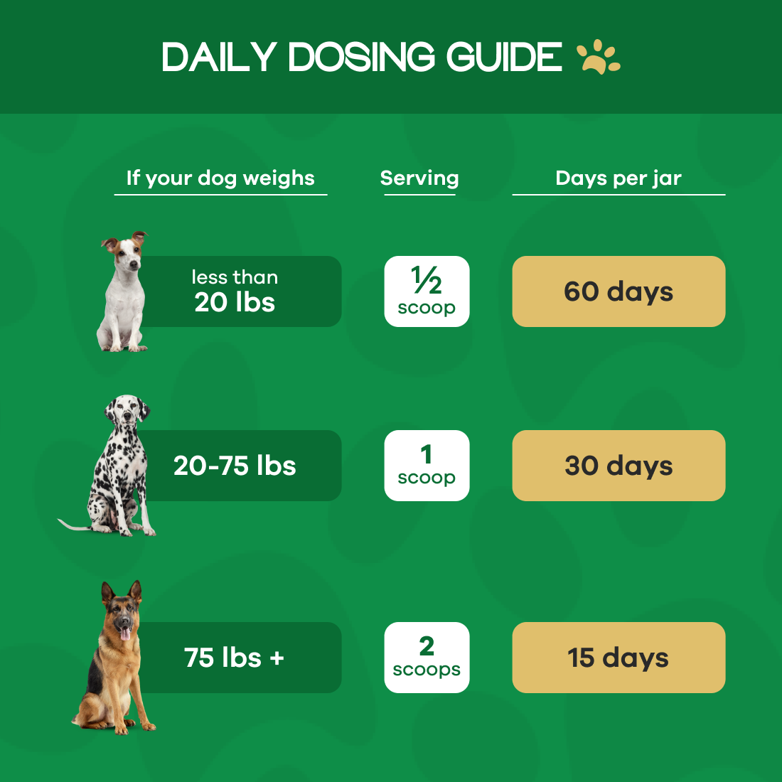 Wild Belly Canine Longevity Formula