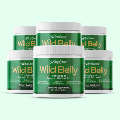 Wild Belly Probiotic