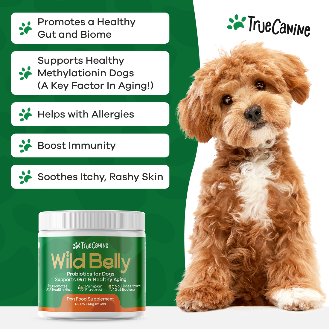 Wild Belly Probiotic / Longevity Support