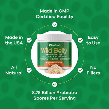 Wild Belly Probiotic / Longevity Support