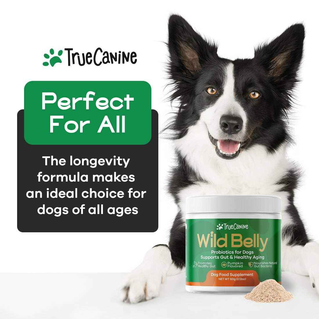 Wild Belly Probiotic / Longevity Support