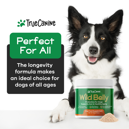 Wild Belly Probiotic / Longevity Support