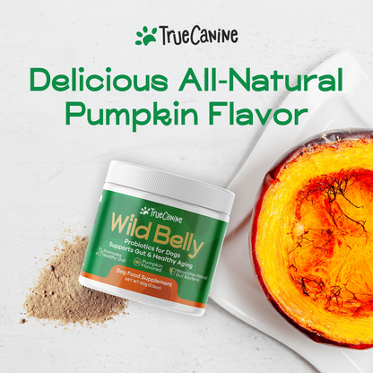 Wild Belly Probiotic / Longevity Support