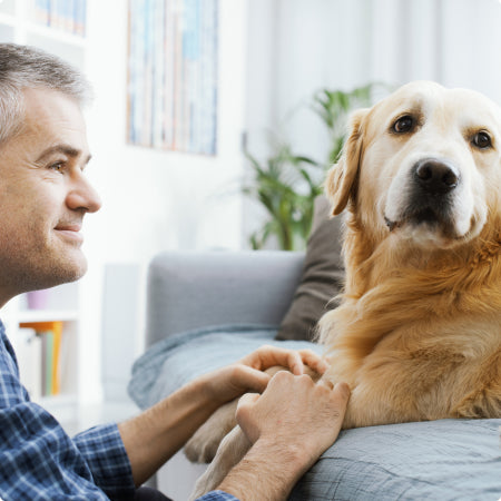 Why dog food companies intentionally leave these two facts out of their products.