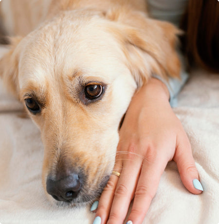 When Charlie turned 9, everything changed.