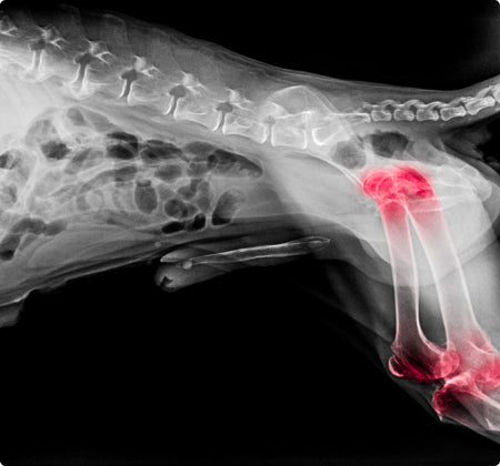 Chemicals cause damage and swelling.