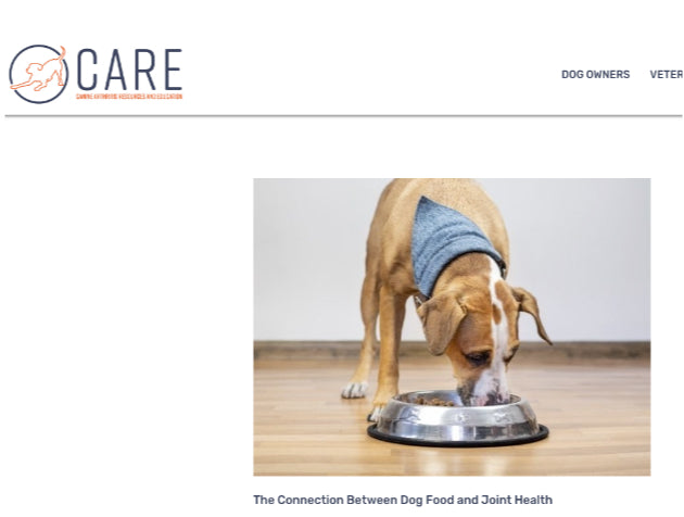The connection between dog food and joint health.