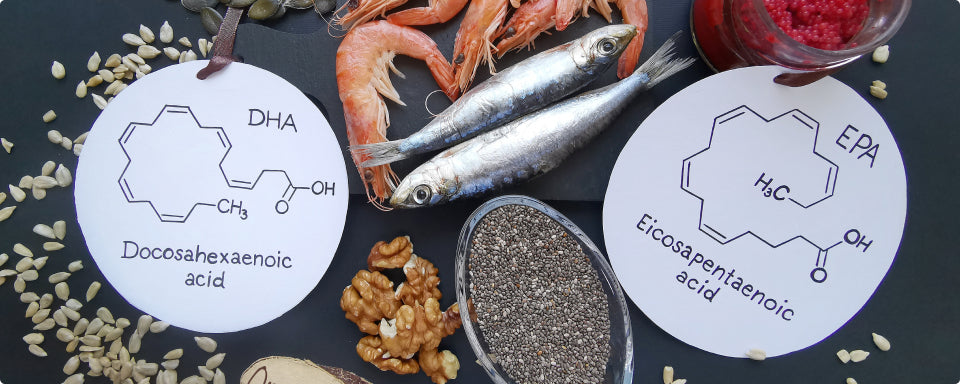 Why EPA and DHA are missing from dog diets.