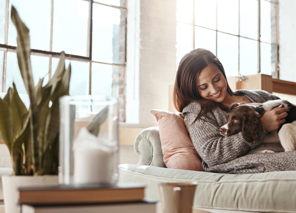 Dog Friendly Probiotics.