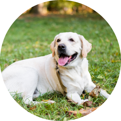 I saw Lacey's health transform.