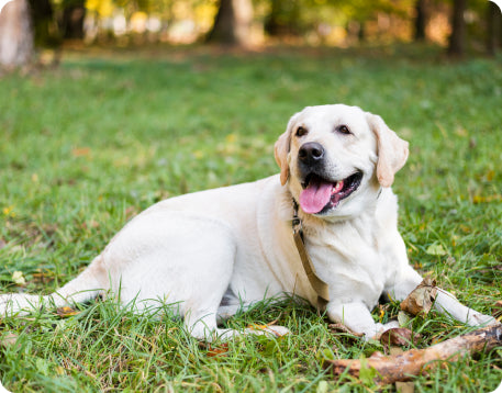 I saw Lacey's health transform.