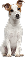 background graphic