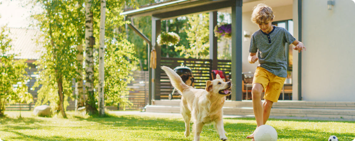 It's time to take control of your dog's quality of life.