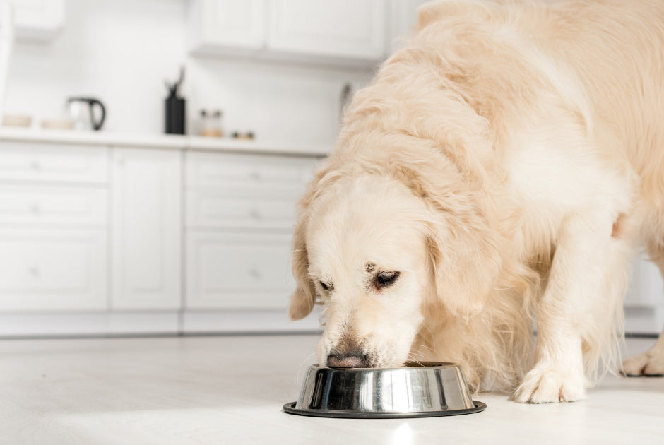 Charlie really enjoy the taste.