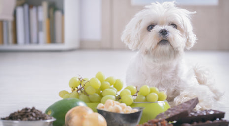 Exposure to foreign toxins.
