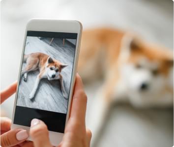 Fur Feelcoarse And Dry.