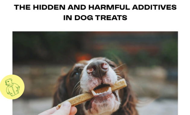The hidden and harmful additives in dog treats.