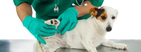 Less Joint Irritation.