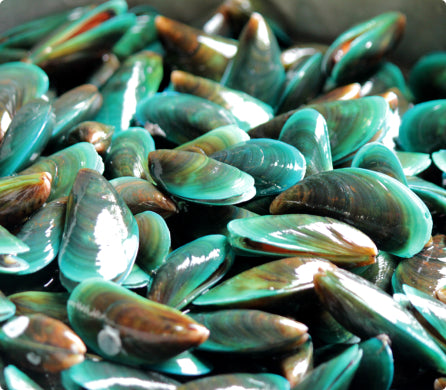 David introducing his story.