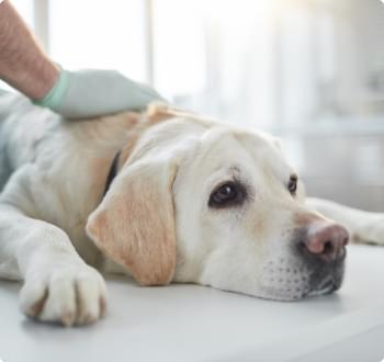 Methylation Goes Haywire Earlier.