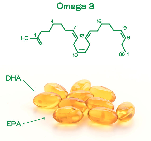 Why EPA and DHA are so crucial to the health of all dogs.