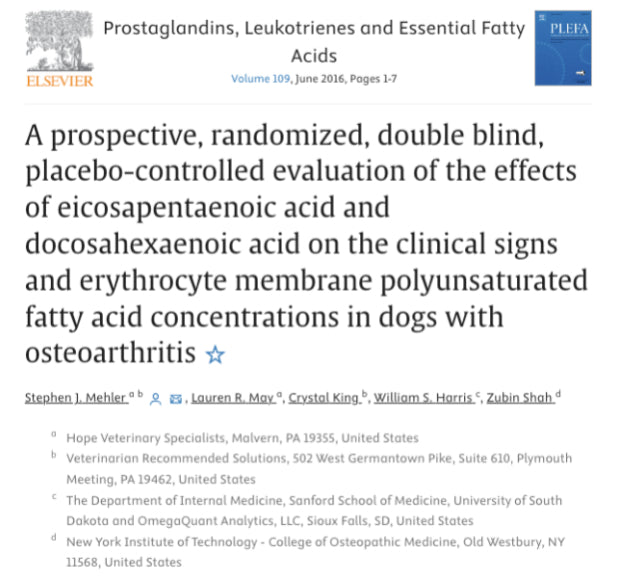 Study about dogs with osteoarthritis.