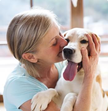 The Best Shot At A Happy Life.