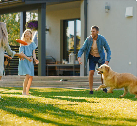 The promise of New Flex.