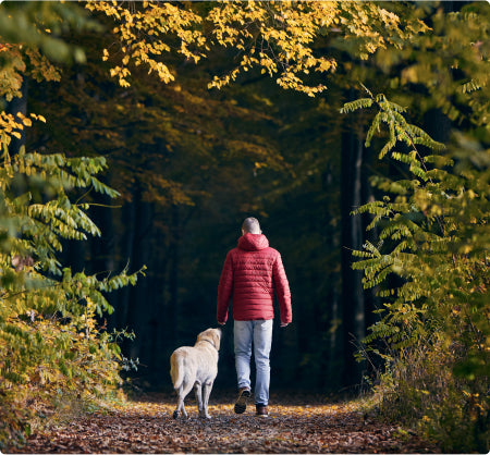 Dog is suffering from stiff and swollen joints.