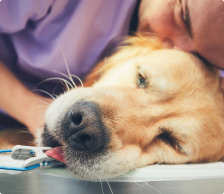 Things went from bad to worse.