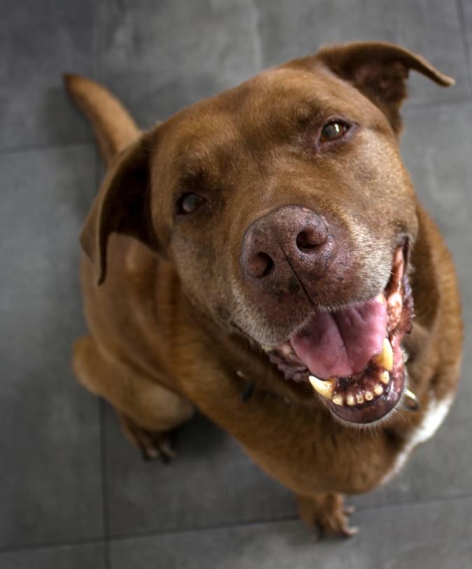 Tragic Countdown Timer.