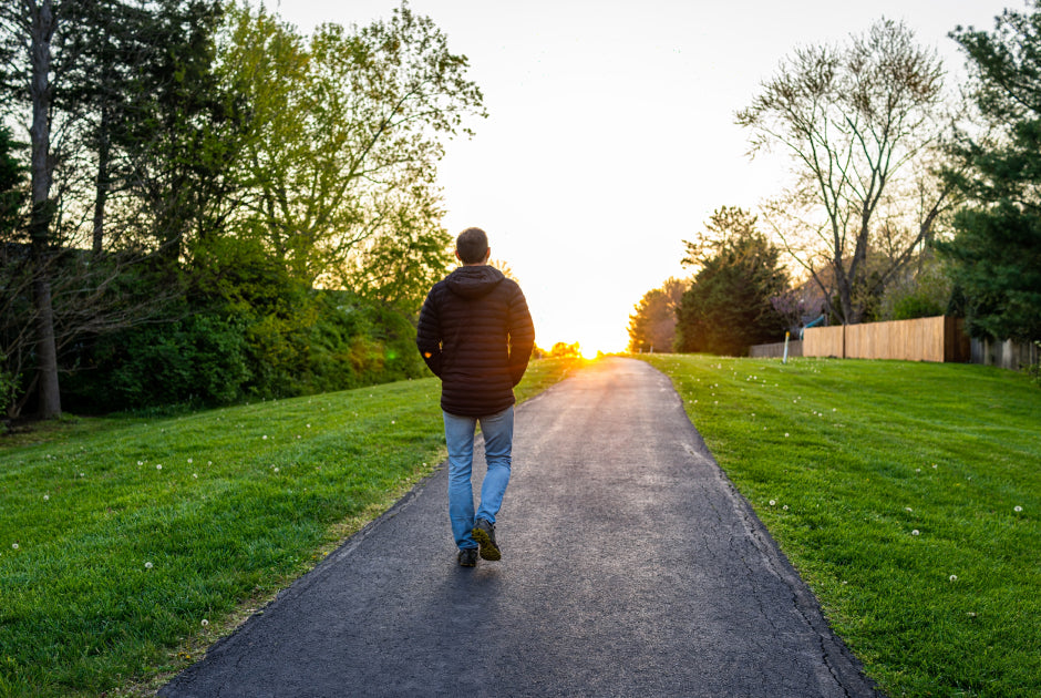 I was wandering through the local dog park.